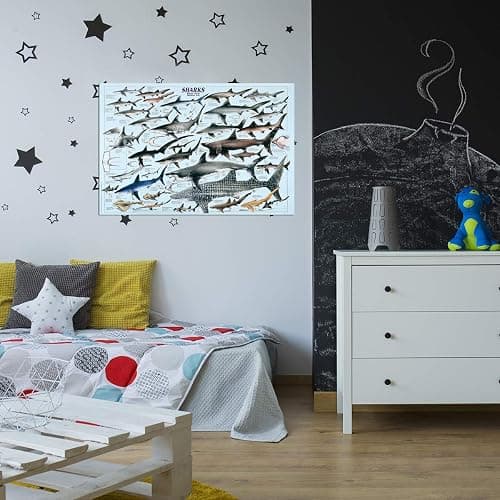 Eurographics 2450-2860 Sharks Poster 38.5 x 26.75 inch thumbnail 2
