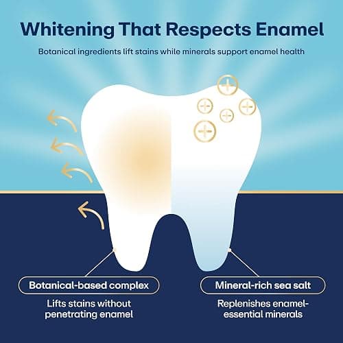 Lumineux Teeth Whitening Strips Kit - 9 Treatments (1 Month) - Peroxide Free - Enamel Safe for Whiter Teeth - Whitening Without The Sensitivity - Dentist Formulated - Sensitivity Free thumbnail 3