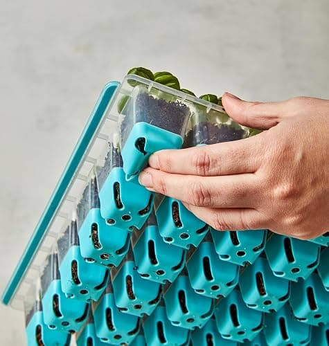 Burpee SuperSeed Seed Starting Tray | 36 Cell Reusable Seed Starter Tray | for Starting Vegetable, Flower & Herb Seeds | Indoor Grow Kit for Plant Seedlings | for Germination Success thumbnail 7