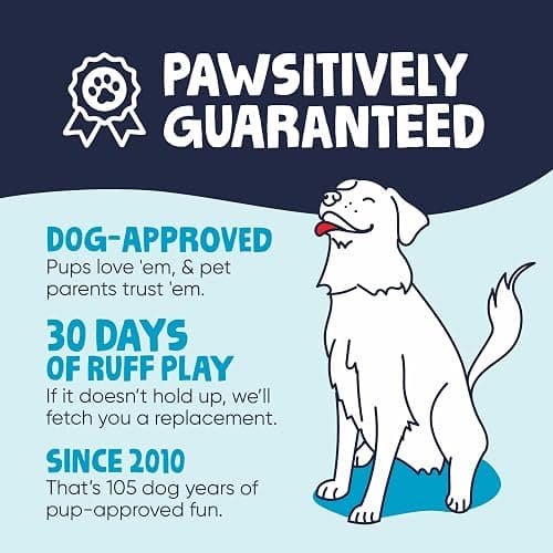 goDog Checkers Just for Me Flying Pig Squeaky Plush Dog Toy with Chew Guard Technology, Durable Fabric & Squeaker for Active Play, Pink, Mini thumbnail 6