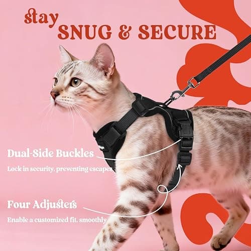 rabbitgoo Cat Harness and Leash for Walking, Escape Proof Soft Adjustable Vest Harnesses for Cats, Easy Control Breathable Reflective Strips Jacket, Black, XS thumbnail 6