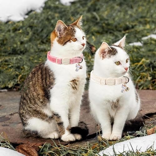 ARING PET 2 Pack Cat Collar-Cute Cotton Cat Collar with Bell & Pendant, Adjustable Pink Khaki Kitten Collars with Safety Buckle for Girl and Boy Pets thumbnail 4