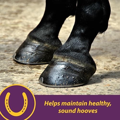 Horse Health Vita Biotin Crumbles horse hoof Supplement, Helps maintain healthy, sound hooves and strong hoof walls, 3 lbs., 48 day supply thumbnail 2