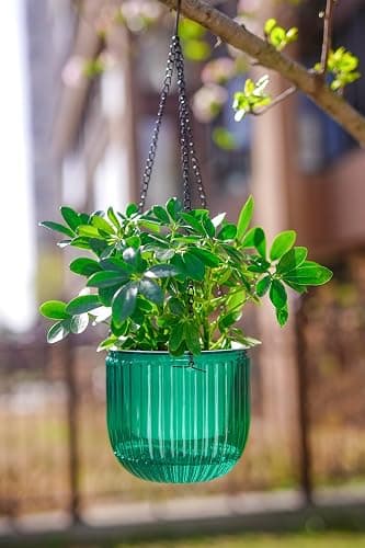 Melphoe 2 Pack Self Watering Hanging Planters Indoor Flower Pots, 6.5 Inch Outdoor Hanging Plant Basket, Hanger with 3Hooks Drainage Holes for Garden Home (Emerald + Gray) thumbnail 7