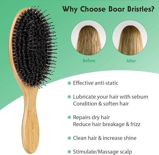 Vista Boar Bristle Hair Brush, Bamboo Paddle Hair Brush with a tail comb for Women, Men and Kids,Reduce Frizz and Adds Shine, Detangler Hairbrush for Thick Curly Thin Long or Short Hair thumbnail 4