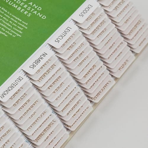 UPAFEXXI-Laminated Bible Tabs with Book Summaries(Gold Foil Embossed Lettering), Bible Tabs for Women and Men, Reposition Large Print Stickers, Easy to Read, 80Chapters Labels for Easy Navigation thumbnail 8