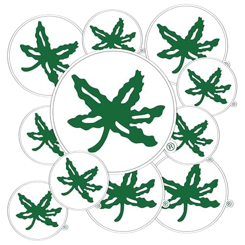 Desert Cactus The Ohio State University Sticker OSU Buckeyes Vinyl Decals Laptop Water Bottle Car Scrapbook Sheet T3 (Type 3-5) - Image 1