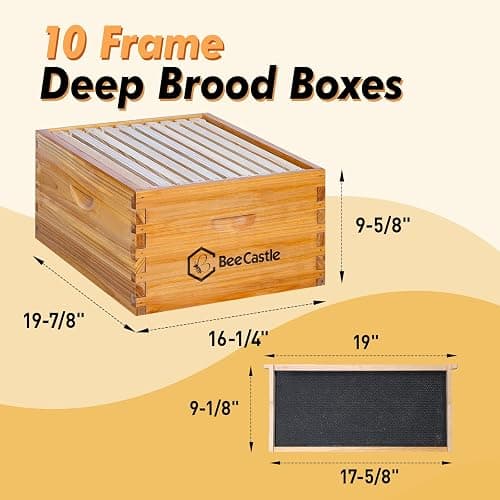 BeeCastle 10 Frame Langstroth Bee Hive Coated with Beeswax Includes Beehive Frames and Waxed Foundations (2 Deep Boxes & 1 Medium Box) thumbnail 2