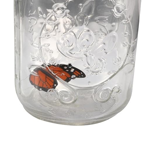 Fangfang LED Lamp Romantic Glass Animated Butterfly Jar Gift Decoration (Yellow) thumbnail 5