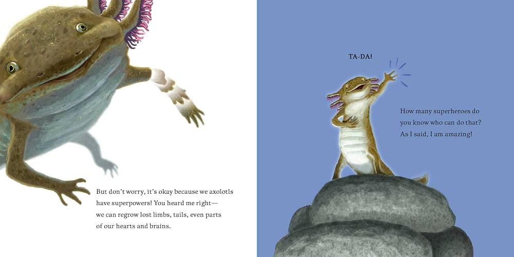 Hello, I'm an Axolotl (Meet the Wild Things, Book 4) - Hardcover thumbnail 4