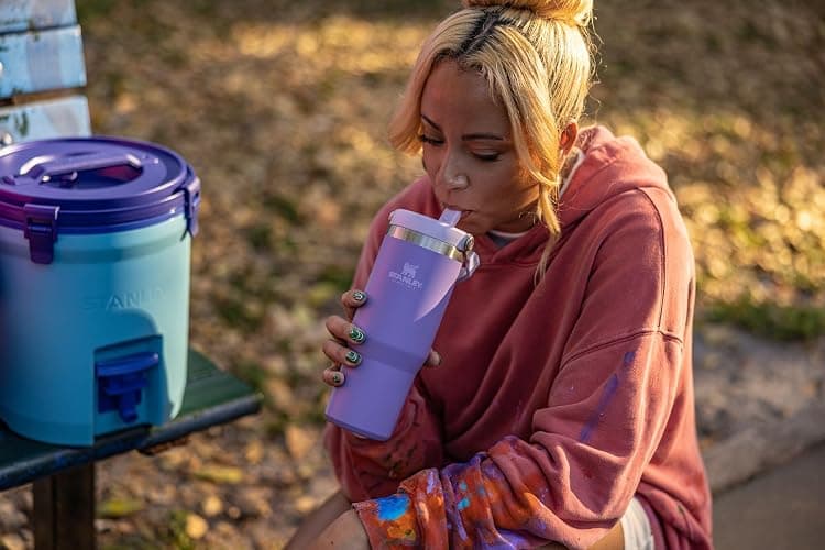 Stanley IceFlow Flip Straw Tumbler with Handle | Twist On Lid and Flip Up Straw | Leak Resistant Water Bottle | Insulated Stainless Steel | BPA-Free thumbnail 4