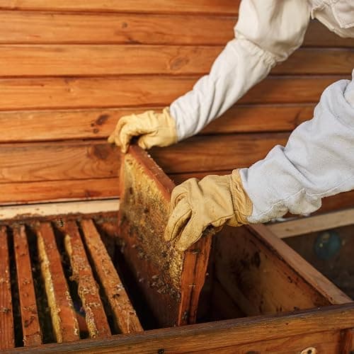 HARFINGTON Bee Suit for Men Women XXL Beekeeping Suit Outfit with Gloves and Veil Hood (Jacket, Pants, Gloves) Bee Suits for Adult Backyard Professional and Beginner Bee Keeper, Coffee thumbnail 7
