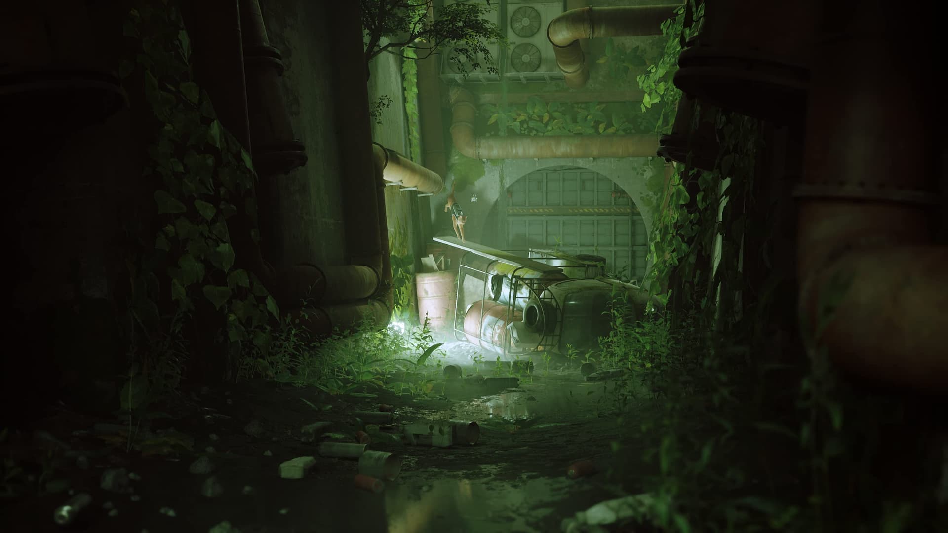 Skybound Stray for Xbox One and Series X thumbnail 3