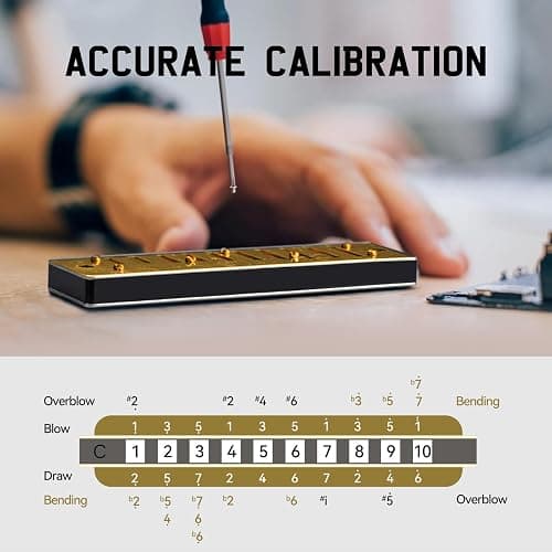 SDREAM Harmonicas for Adults Beginner,C Key Blues Harmonicas for Professional Musicians, Students,Harmonica 10 Holes 20 Tones,Diatonic Harmonica with Case,As a Gift(Gold, 10 holes blues primary) thumbnail 3