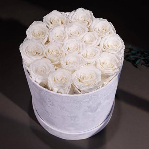 17 Flowers in a Luxury Suede Box, Birthday Gifts for Women, Preserved Flowers, Mothers Day Roses Gift for Mom, White - White - 17 Roses thumbnail 4