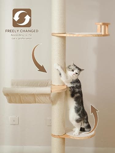 Floor to Ceiling Cat Tree, 5-Tier Adjustable Height(88-126in) Solid Wood Climbing Tower with Sisal Scratching Post, Transparent Capsule and Cozy Hammock thumbnail 7