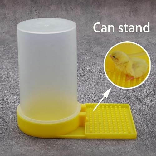 Baby Bird Button Quail Yellow Water Feeder thumbnail 3
