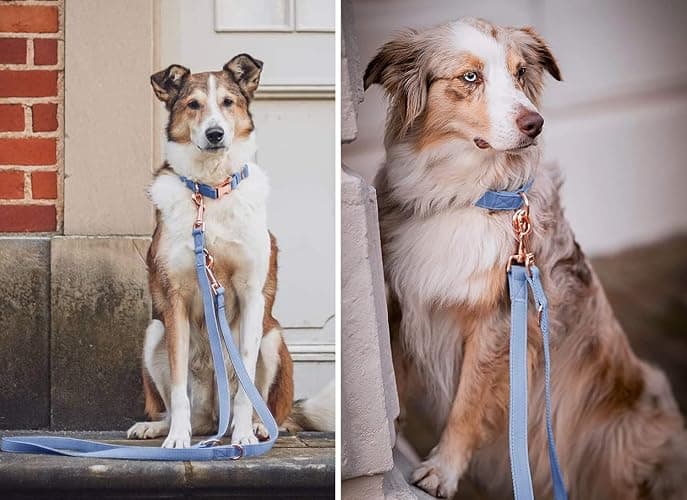 Soft Leather Dog Collar and Leash (6.6') Set - Stylish Rose Gold Heavy Duty Metal Buckle, 4 Adjustable Lengths Leash for Small Medium Large Dogs - Comfortable & Easy to Clean BluePurple L(15.4"-24.8") thumbnail 2