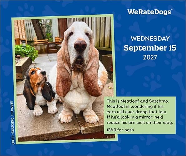 WeRateDogs 2027 Day-to-Day Calendar thumbnail 5