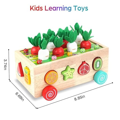 Toddlers Montessori Wooden Educational Toys for Baby Boys Girls Age 1 2 3 Year Old, Shape Sorting Toys 1st One First Birthday Girl Gifts for Kids 1-3, Wood Preschool Learning Fine Motor Skills Game thumbnail 3