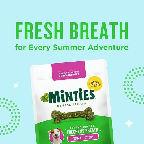 Minties Dog Dental Bone Treats, Tiny/Small Dental Dog Treats, 16 Ounces, Cleans Teeth, Fight Bad Breath, Removes Plaque and Tartar, 40 Count thumbnail 9