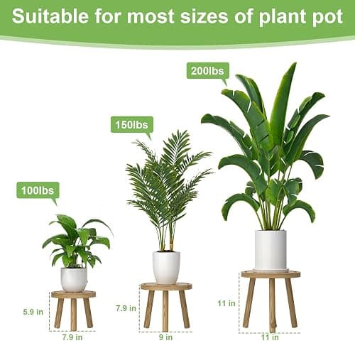 Vecxoty 3-Pack Wood Plant Stands Indoor, Single Plant Stand for 6-12 Inch Pots, Mid-Century Modern Plant Stool, Tall Plant Stand for Large Plants for Living Room, Balcony, Office (Light Brown thumbnail 3