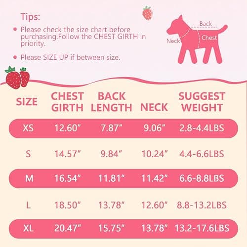 BAOBICUTE 2 Pack Dog Dress Clothes for Small Dogs Girl with Leash Ring & Bow cat Dog Outfit Strawberry Printed Pet Cat Apparel Sweet Ruffled Chihuahua Yorkie Puppy Clothes thumbnail 7