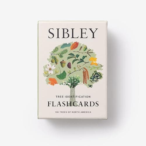 Sibley Tree Identification Flashcards: 100 Trees of North America thumbnail 7