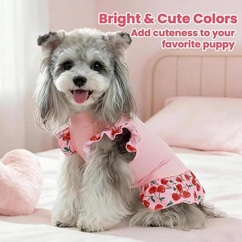 XPUDAC 4 Pack Cute Dog Dress for Small Dog, Floral Puppy Dress Sweet Girl Pet Skirt Outfits Colorful for Birthday Holiday Spring Summer Pet Clothes for Girls, M thumbnail 3