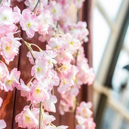 GPARK 10 Pack /70 inch/5.9FT Artificial Cherry Blossom Hanging Vines Silk Flower Sakura Garland for Wedding Party Room Wall Decor Japanese Decoration Light Pink thumbnail 3