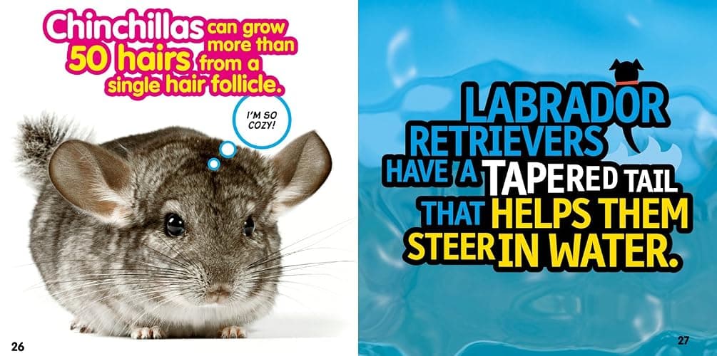 Weird But True! Animals: 300 Outrageous Facts About Wacky Wildlife thumbnail 4
