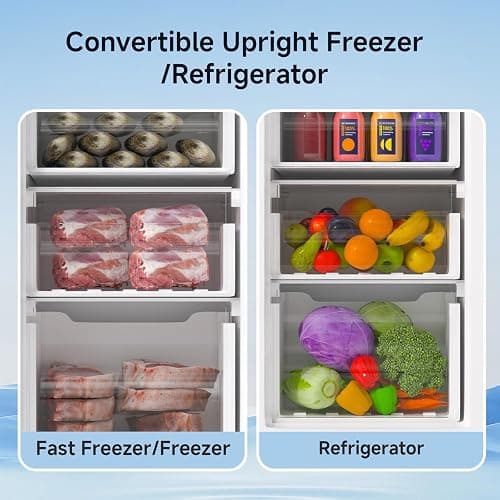 BANGSON Upright Freezer, 7.0 Cu.ft Stand Up Freezer, Convertible Upright Freezer/Refrigerator, Single Door for Kitchen,Garage, Office, Apartment, Silver thumbnail 5