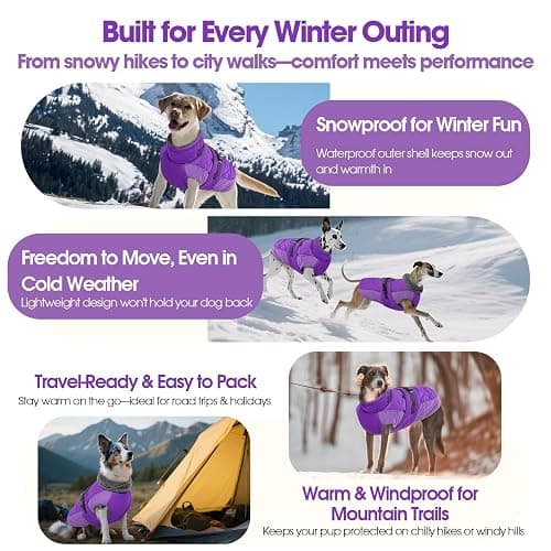 QBLEEV Warm Dog Jacket - Reflective, Adjustable Winter Coat with Turtleneck for Cold Weather, Waterproof Fleece Snowsuit for Small, Medium, Large Dogs thumbnail 7