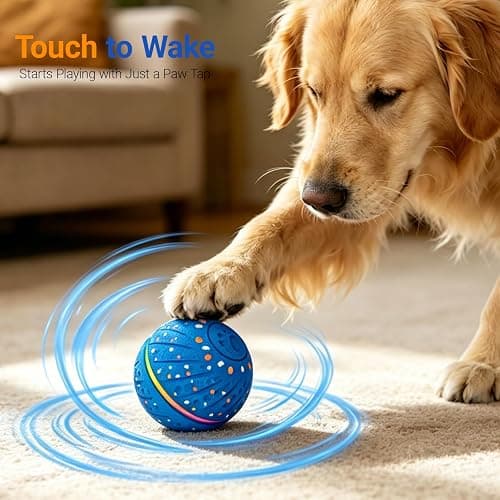 GULUNOOK Interactive Dog Ball Toy for Small Medium Dogs – Automatic Rolling, Bouncing & Moving Dog Toy with LED Lights, 2-in-1 Fetch Toy, Durable E-TPU, USB Rechargeable (2.8” Blue) thumbnail 7