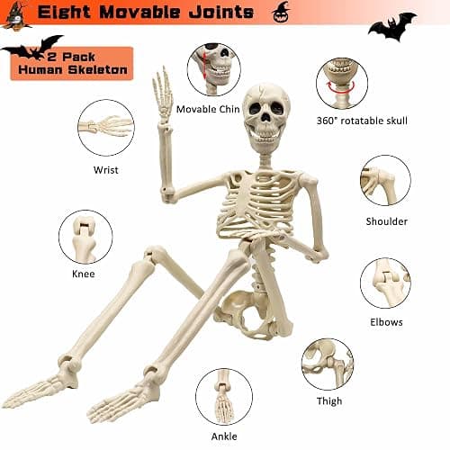 2 Pack 36"Halloween Skeleton - 3 ft Life Size Human Skeleton with Full Body Posable Joints Plastic Skeleton for Halloween Skeletons Decor Yard Patio Lawn Garden Skeleton Props Spooky Party Decoration thumbnail 6