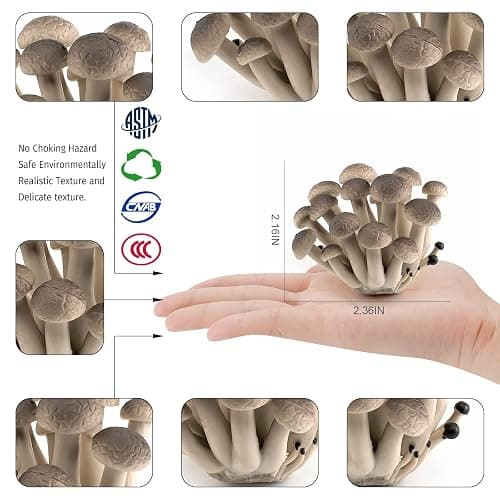 GUFOPONAS Realistic mini Life Cycle of Mushroom Figure Toy Set 4PCS Mushroom Decor for Diorama Projects Kids Birthday Gift Learning Toy thumbnail 3