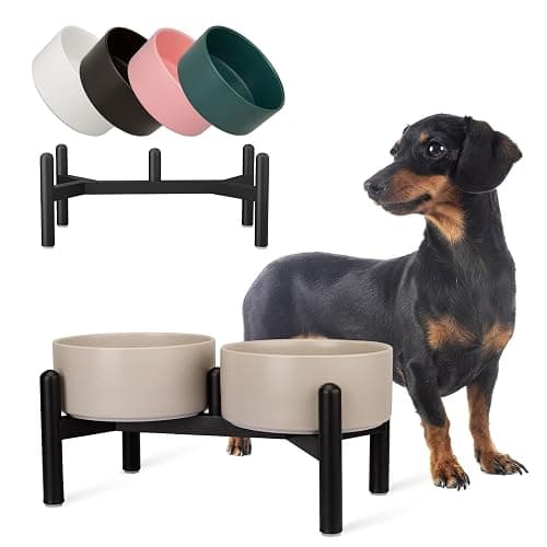 Raised Ceramic Dog Bowl Set - Elevated Double Dishes with Stainless Steel Stand - Food and Water Bowls for Small to Medium Dogs - Each Holds 2 Cups (28.75 fl oz) - Grey - Image 1