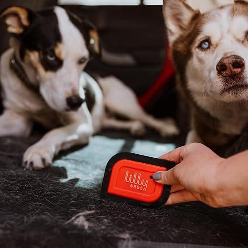 Lilly Brush Mini Pet Hair Detailer | Reusable Fur Remover for Car Interior, Carpet, Couch & Furniture thumbnail 4