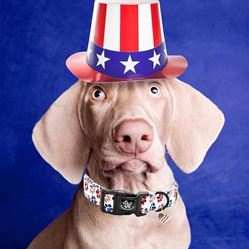 Elegant little tail Independence Dog Collar, 4th of July Holiday Pet Collars Cotton Patriotic Puppy Girl or Boy Soft Pet Gift Adjustable Dog Collar for Small Medium Large Dogs thumbnail 5