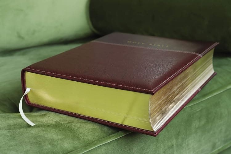 NIV, Family Bible (Keepsake Edition), Leathersoft, Burgundy, Red Letter thumbnail 4