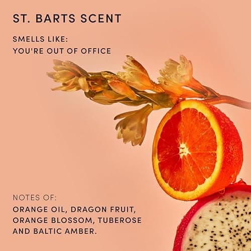 OUAI Body Cleanser, St. Barts - Foaming Body Wash with Jojoba Oil and Rosehip Oil to Hydrate, Nurture, Balance and Soften Skin - Paraben, Phthalate and Sulfate Free Skin Care Products (10 Fl Oz) thumbnail 5