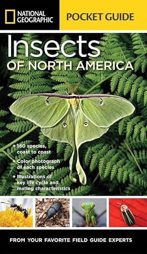 National Geographic Pocket Guide to Insects of North America: From Your Favorite Field Guide Experts - Image 1
