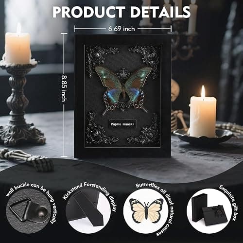 Real Framed Butterfly Taxidermy - Shadow Box, Real Framed Butterfly in a Box for Gothic Home Decor Aesthetic (B_Alpine Black Swallowtail Black Background #1) thumbnail 3