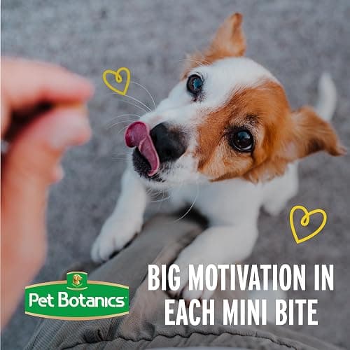Pet Botanics 10 oz. Pouch Training Reward Mini Soft & Chewy, Chicken Flavor, with 500 Treats Per Bag, The Choice of Top Trainers thumbnail 6