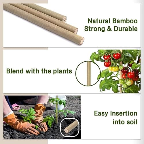 Plant Stakes,18 Inches Natural Garden Bamboo Sticks,BOVITRO 20Pcs Plant Support Stakes for Tomatoes,Beans,Vegetable and Potted Plants thumbnail 4