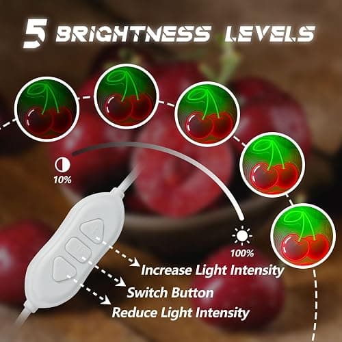 (C+L) Cherry Neon Sign for Wall Decor, Dimmable Red Green Cherries Neon Lights, Vibrant Fruit Themed Neons LED Signs for Kids Room, Bedroom, Restaurant, Bar, Club, Fruit Shop, Birthday Party (Cherry) thumbnail 4