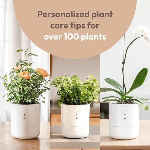 LeafyPod 8 Inch Smart Self Watering Planter with WiFi Bridge & App Control – AI Plant Care System with Sensors, Automatic Watering, Alerts – Modern Indoor Planter for Houseplants | Cordless thumbnail 9
