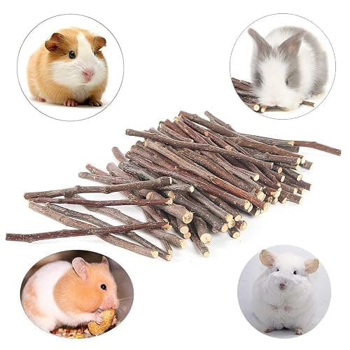 Bojafa 250g Apple Sticks Small Animals Molar Wood Treats Toys for Rabbits Chinchillas Guinea Pig Hamster Gerbil Parrot Bunny and Small Animals Chew Stick Toys Treats thumbnail 5
