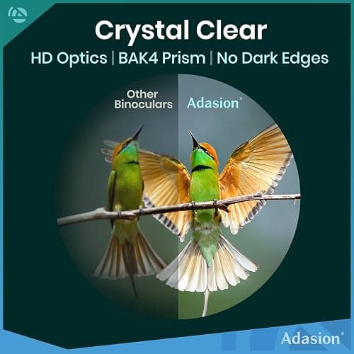 12x42 HD Binoculars for Adults High Powered with Phone Adapter and Tripod, Super Bright BAK4 Prism Waterproof Binoculars for Bird Watching Hunting Hiking Safari Travel Sports thumbnail 2