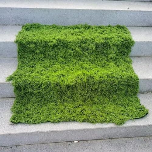 FSZNKJ Artificial Green Moss Mat, Carpet Grass Wall with Base Fabric 39.37 * 39.37 inch Fake Moss for Crafts, Faux Moss for Plants Indoor Green Faux Grass for DIY Table Centerpieces Floral Wedding thumbnail 2